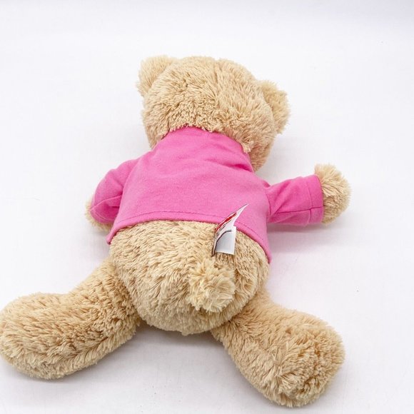 GUND Brown Teddy Bear Plush I'm the Big Sister Pink Shirt Stuffed Animal Toy 12” - Picture 2 of 9